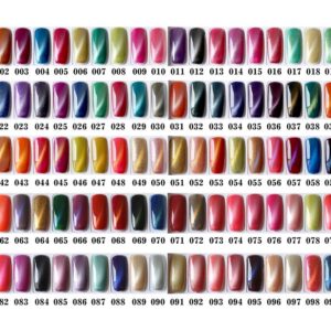 Semipermanenti magnetici SWISS NAILS 100 colori