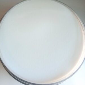 Polvere acrilica trasparente  CLEAR  45gr/150gr/500gr