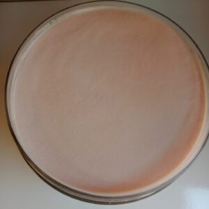 Polvere acrilica pesca chiaro CAMOUFLAGE LIGHT PEACH 45gr/150gr